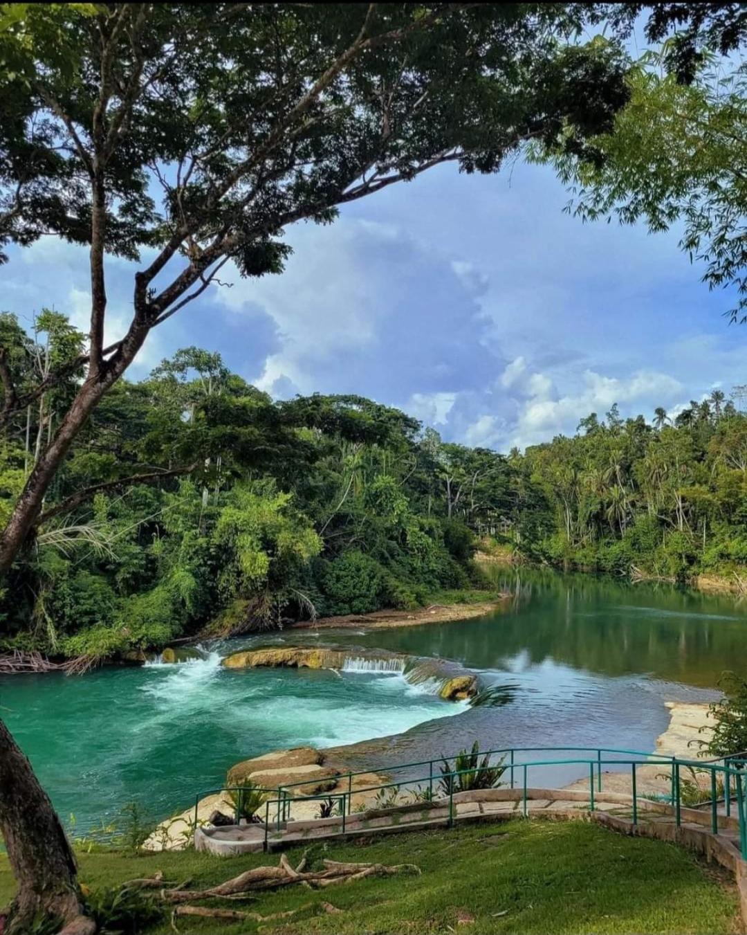 Loboc Nipa Huts Cottages Rental エクステリア 写真