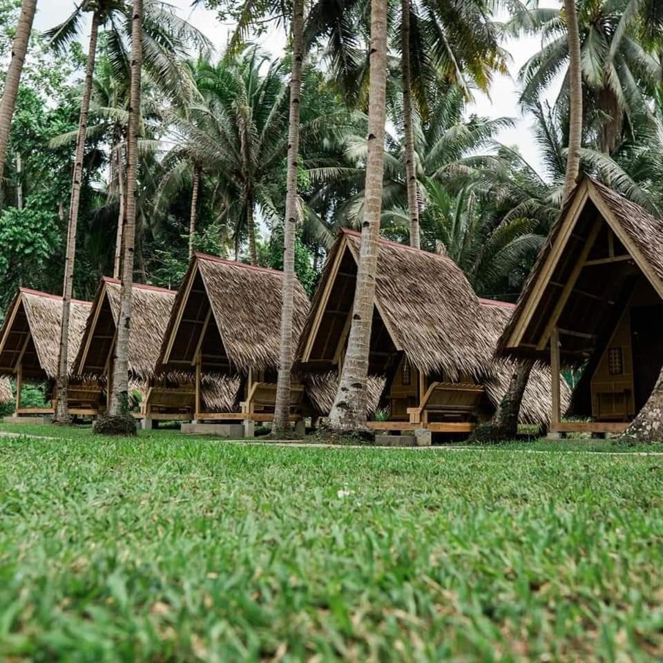 Loboc Nipa Huts Cottages Rental エクステリア 写真